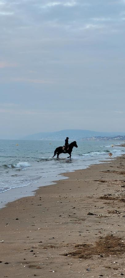Villers Plage 1 Экстерьер фото